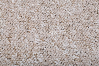 Ковролин Condor Forza 12 фото 1 | FLOORDEALER